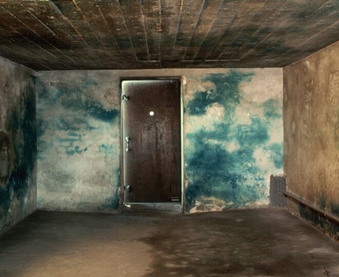 Poem: Hitler’s Blue