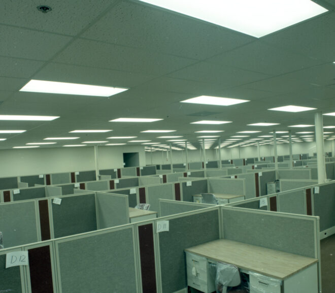 Poem – Freedom in Captivity (A Trilogy)