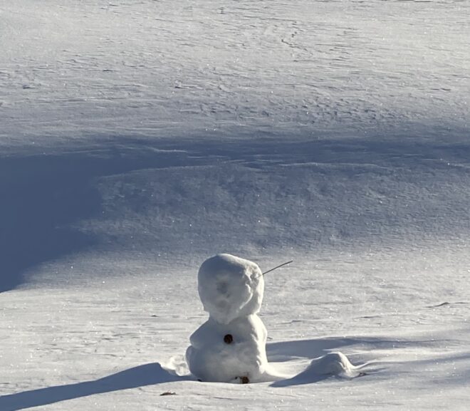 Poem: The Snowman