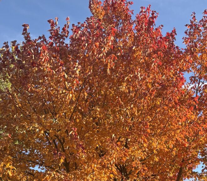 Poem: The Place We Went