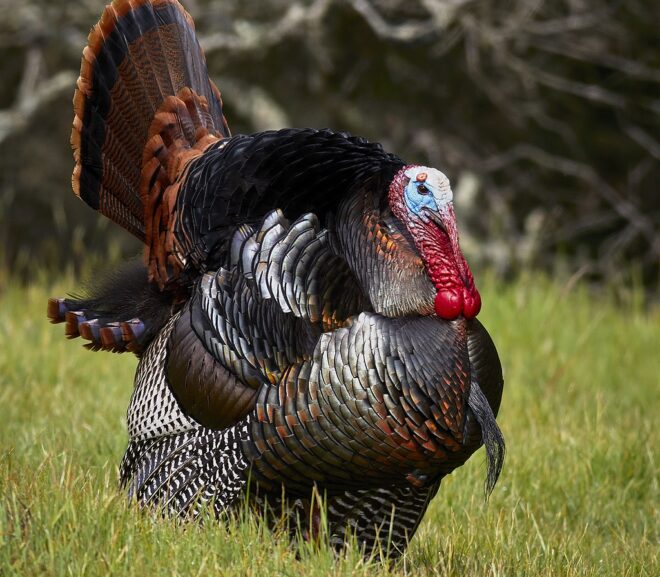 Poem: Alternate Universe